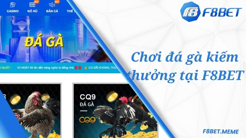 Chơi đá gà kiếm thưởng tại F8BET